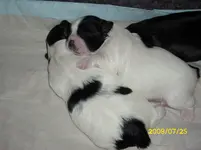 Bonnie&Babys 083.webp