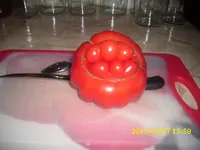 Tomaten 018.webp