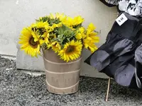 Sonnenblumen v.webp