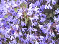 Bilda 0576.webp