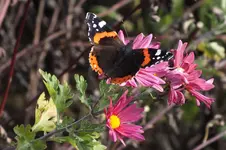 DSCF8841.webp