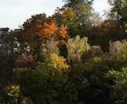 2014_11_01-herbstsonne.webp