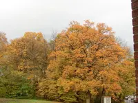 CIMG9500.webp