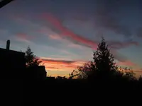 BILD3488.webp