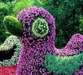 mainau 2.webp