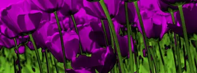 drtegf.webp