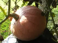 BILD3566.webp