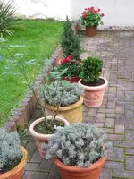 141103  geschrumpfte Reservearmee.webp