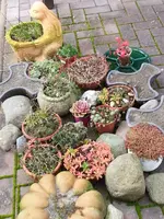 141103  zusammenrück.webp