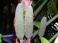 K1024_P1080349.webp