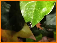 040.webp
