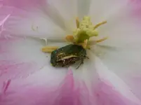 P1050015.webp
