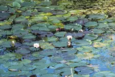 DSCF8876.webp