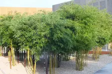 DSCF8759.webp
