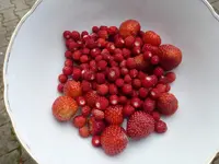 P1090839.webp