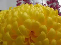 P1230420.webp