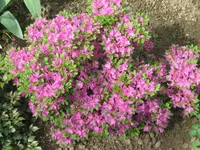 Bild 032.webp
