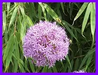 165.webp