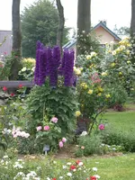 Brunnenwiese 22.webp