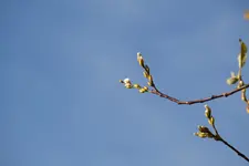 DSC_1751_35998.webp
