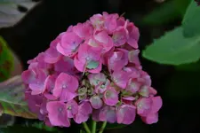DSC_1222_35480.webp