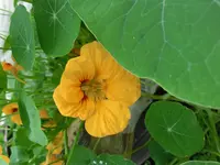 CIMG9504.webp