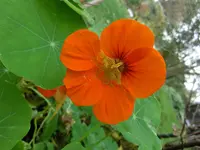 CIMG9506.webp