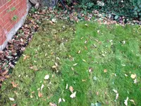 image2.webp