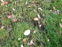 image3.webp