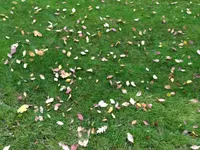 image5.webp