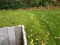 image7.webp