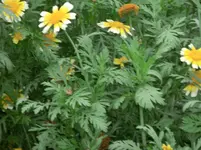 CIMG9532.webp