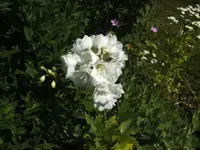 BILD3025.webp