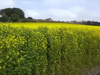 BILD1814.webp