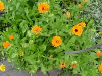 SDC10340_Bildgröße ändern.webp