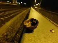 P1230472.webp