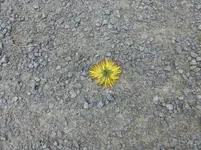 P1230177.webp