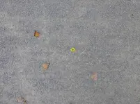 P1230176.webp