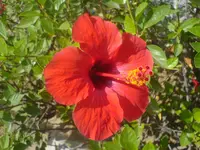 DSC01675.webp