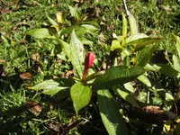 BILD3559.webp