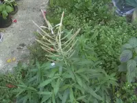 BILD3545.webp