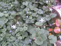 BILD3546.webp