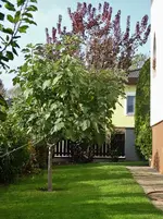 Garten vor dem Winter 041.webp