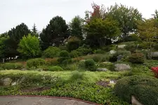 Grün_0003.webp