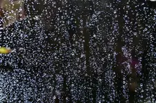 Regentropfen_14797.webp
