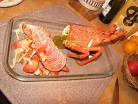 IMG_4850v.webp