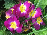 001_1024x768.webp