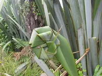 IMG_0966v.webp