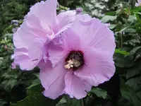 025.webp