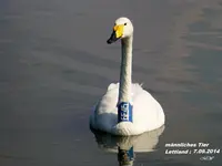 P1020738.webp